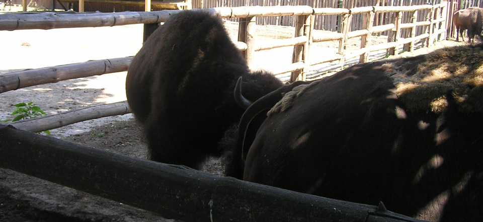 安全可靠好用的DDOS网页端