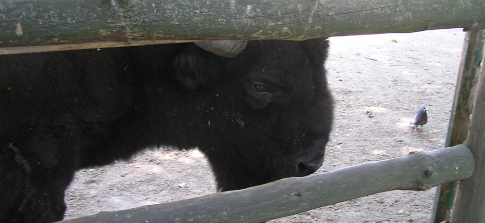 免费cc攻击测试